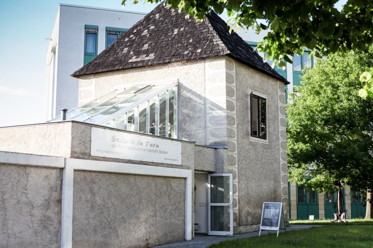 20160531-Gastausstellung-Galerie-im-Turm-foto_steinberger-1.jpg