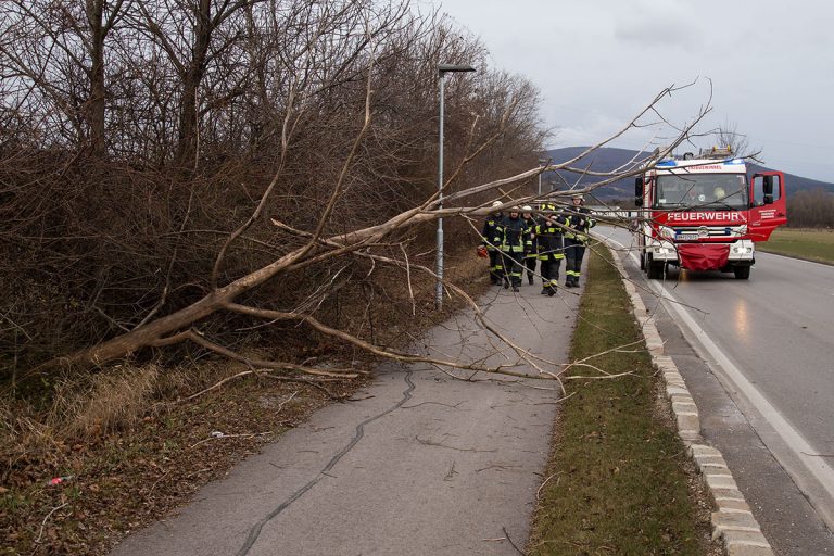 20170104 Strumtief "Axel" über den Bezirk Baden  Foto: Stefan S