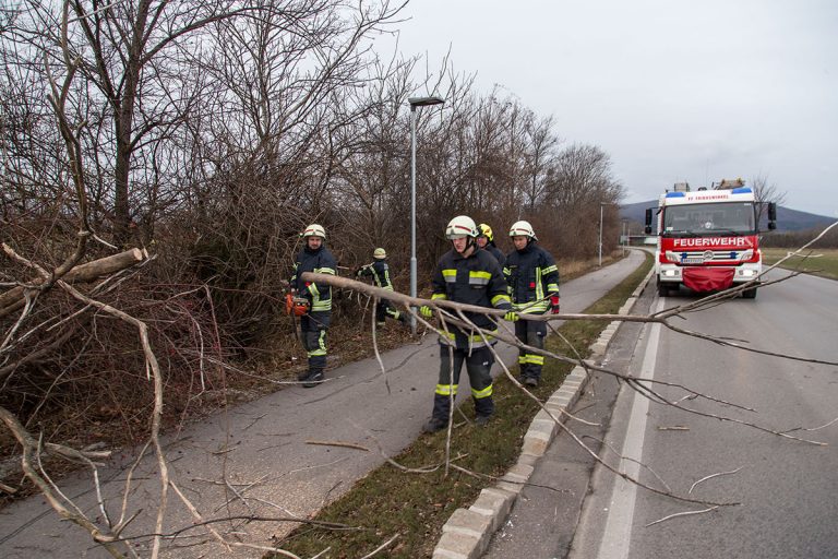 20170104 Strumtief "Axel" über den Bezirk Baden  Foto: Stefan S