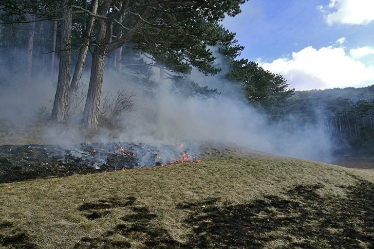 20170307 Flurbrand in Pottenstein  Foto: FF Pottenstein Maro Hau