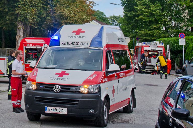 20170728 Rauchfangkehrer durch Dach gebrochen in Baden-Weikersdo