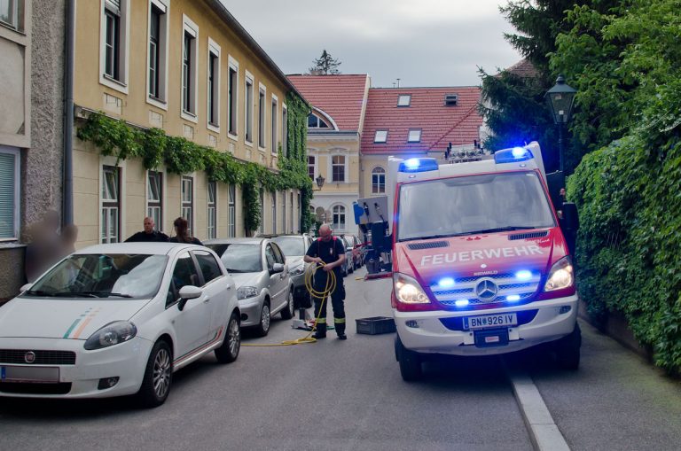 Tierrettung in Baden  Foto: FF Baden-Stadt / Fritz Beichbuchner