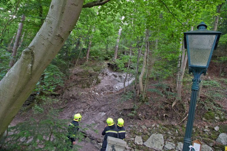 20170826 Felssturz am Badener Wegerl im Helenental fordert Teils