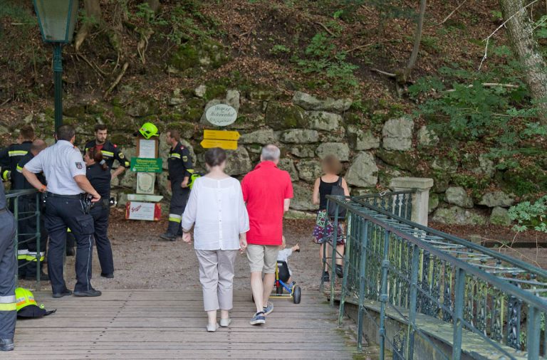 20170826 Felssturz am Badener Wegerl im Helenental fordert Teils
