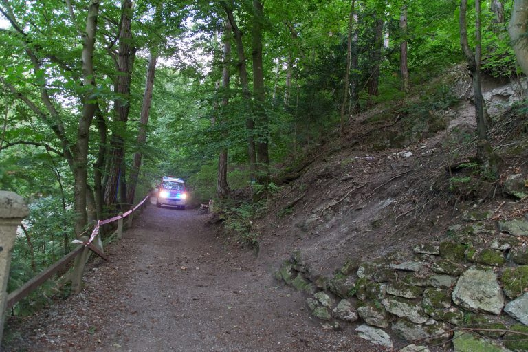 20170826 Felssturz am Badener Wegerl im Helenental fordert Teils