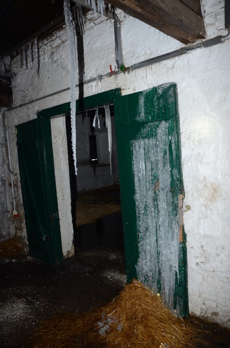 DSC_7933.jpeg