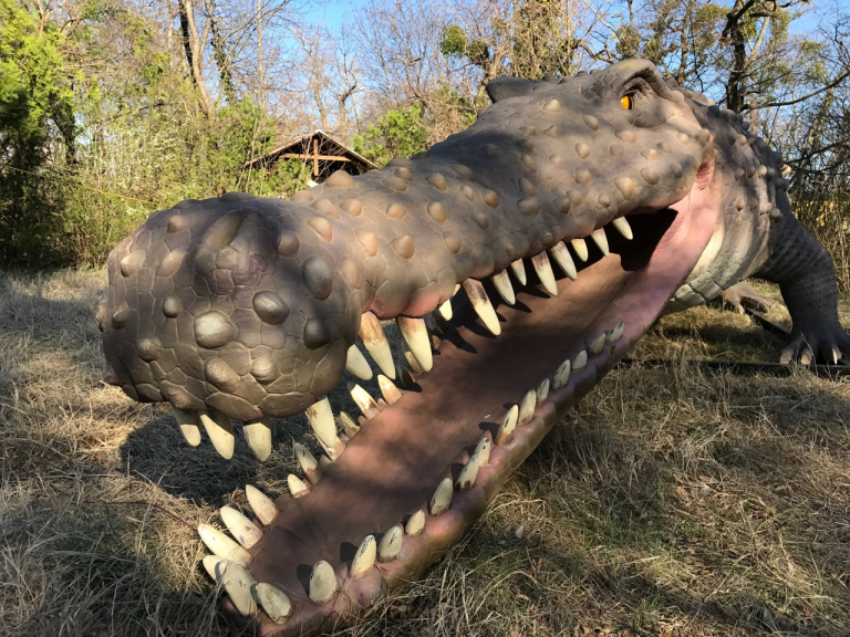 Dino-Park-Tattendorf-9-c-Kletterpark-Tattendorf-1.png