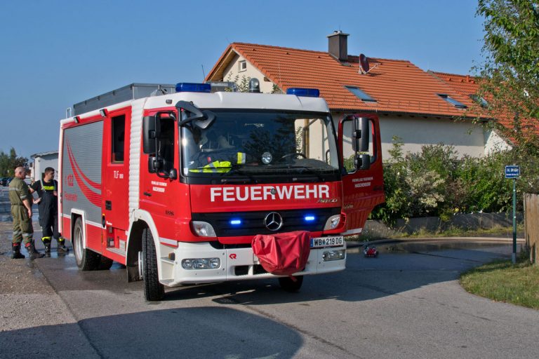 20170808 Waldbrand Haschendorf-Großmittel Bezirk Wr.Neustadt  F