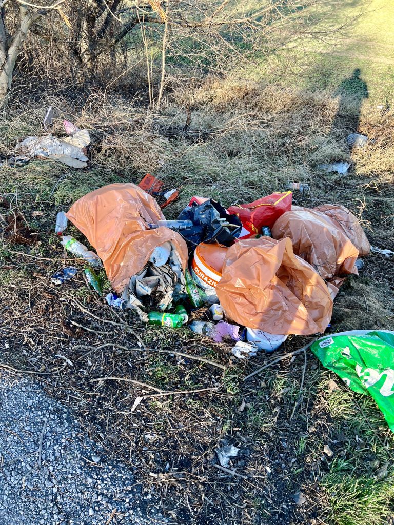 15161170-3728-468E-99A8-99F567DA234A