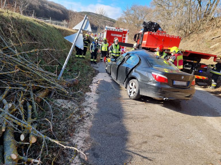 20220118 Verkehrsunfall auf der L4010 Pfaffstätten Einöde