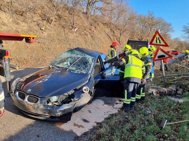 20220118 Verkehrsunfall auf der L4010 Pfaffstätten Einöde