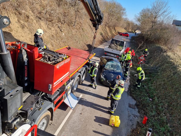 20220118 Verkehrsunfall auf der L4010 Pfaffstätten Einöde