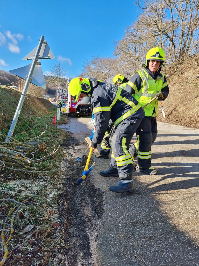 20220118 Verkehrsunfall auf der L4010 Pfaffstätten Einöde