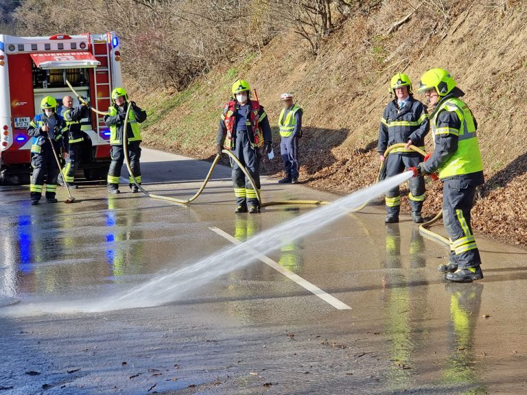 20220118 Verkehrsunfall auf der L4010 Pfaffstätten Einöde