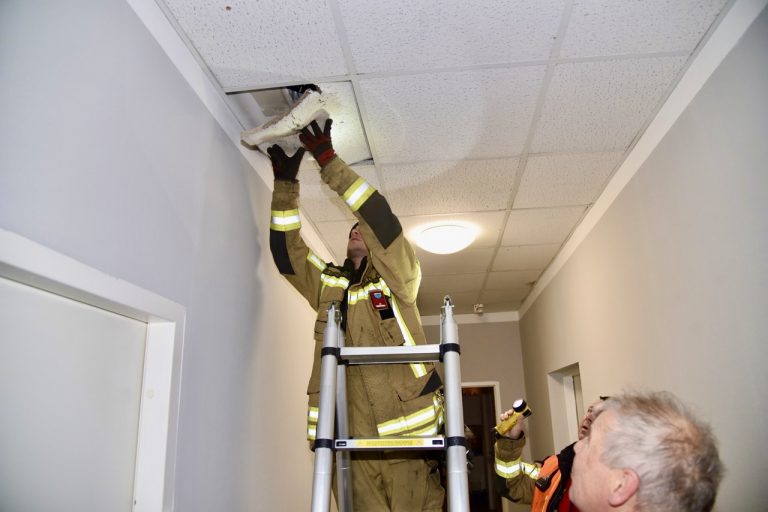 55DED8A4-6BE1-4FA5-A28C-347A6D163AAF