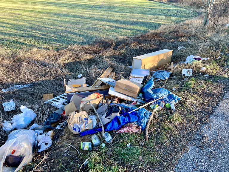 6293DA7D-565A-4335-A4A9-C6B8DEACC3A6