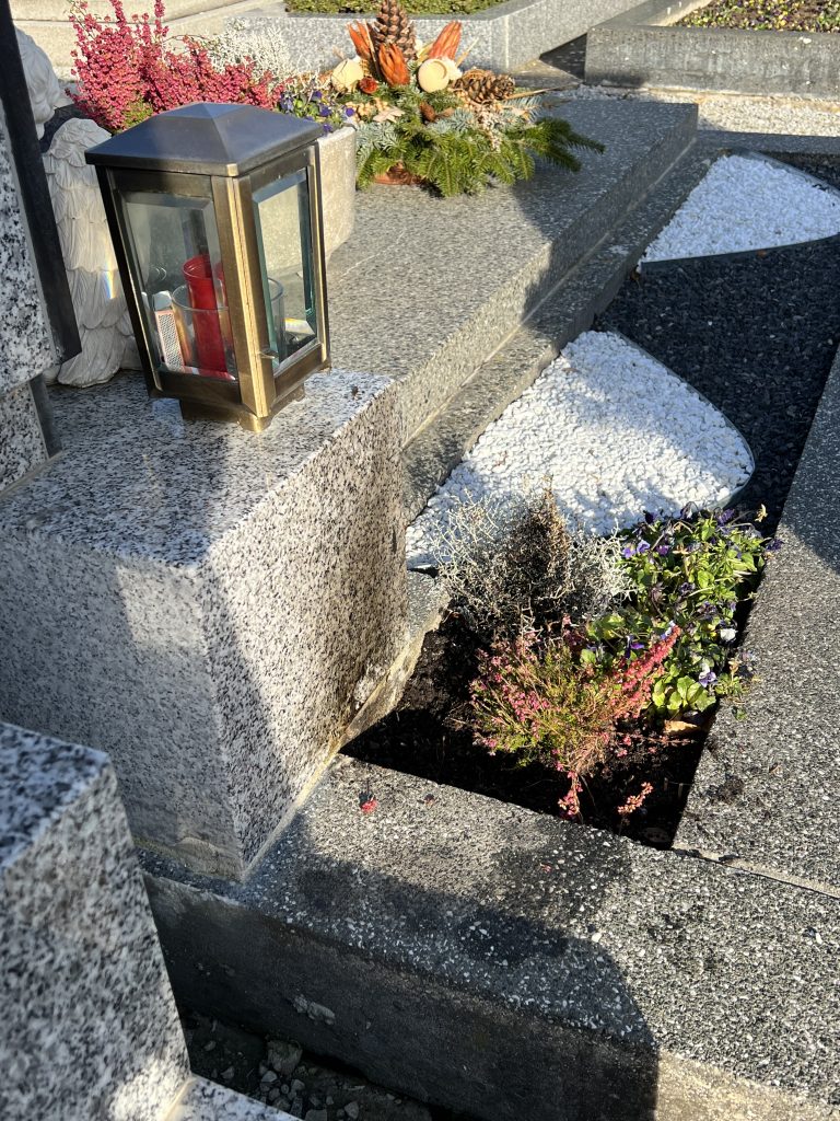 76E0E07A-50A4-413E-8FEF-094F4450B89C