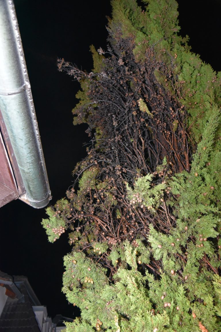 790C062D-4FB0-4A3A-A762-9E574E45FFBB