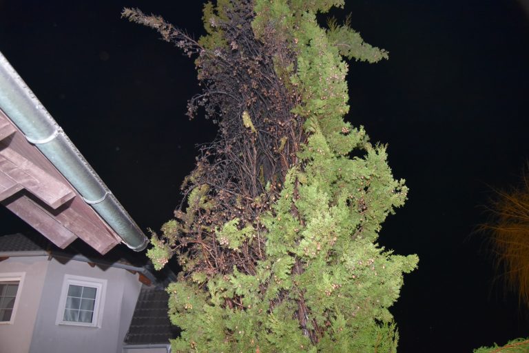 8E1ADBE9-6FC7-44B2-8E01-FF24CDC7F5C9