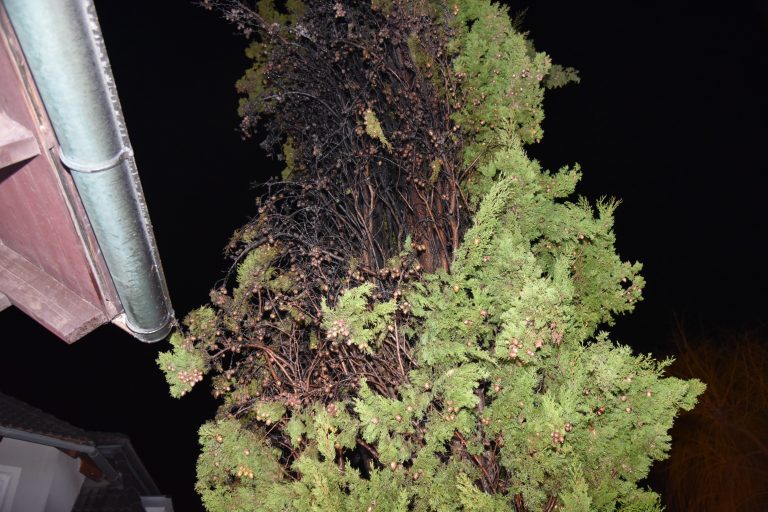 AFEF1140-37DE-4691-B277-69E4A648E391