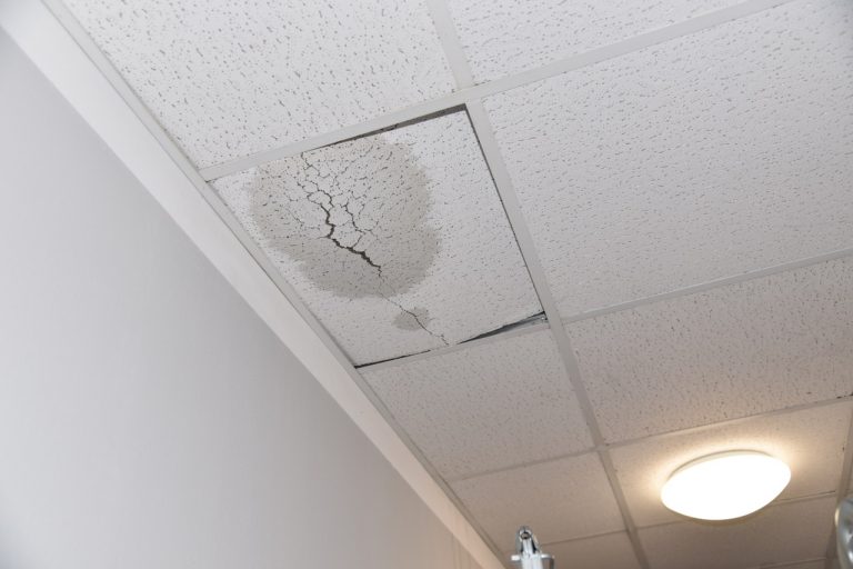 D3F71F04-69DE-468D-8216-C9665F9195B4