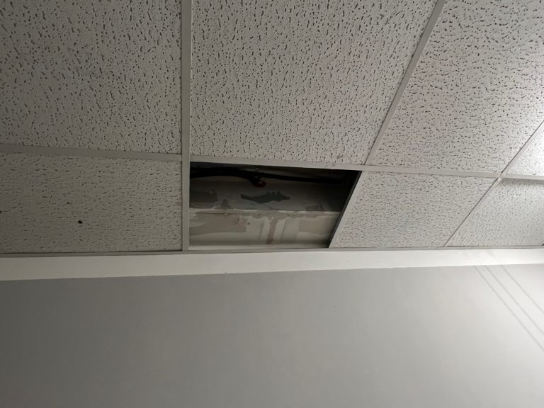 F5B99ED2-BBC6-433B-8C4B-CD0F44E7FEAA