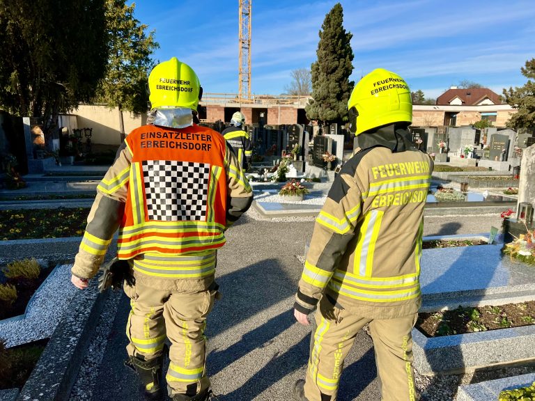 F7843B20-4582-45B1-BAEE-7DC9695D9DF4