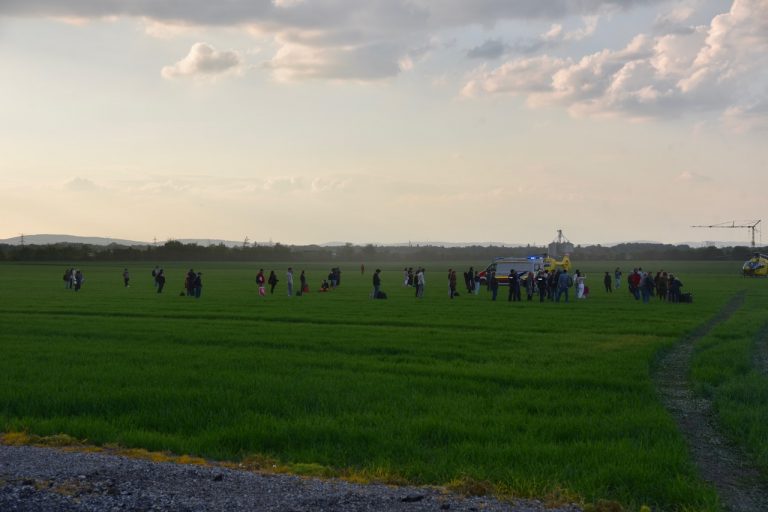 DSC_9940
