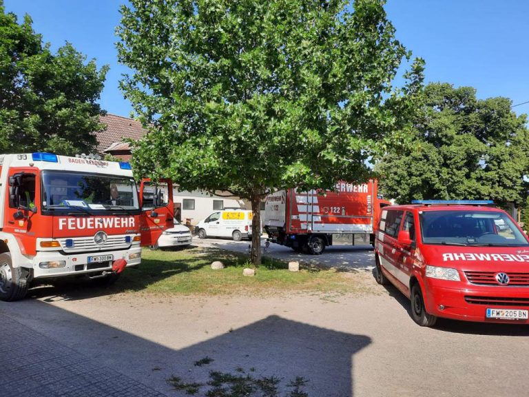 20220627 TE Baden-Leesdorf