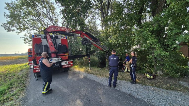 16e64f15-bfdd-4fa2-b3ba-493eb9fe2814