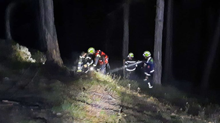 20240818 Waldbrand Bad Vöslau Gainfarn oberhalb Vöslauerhütte