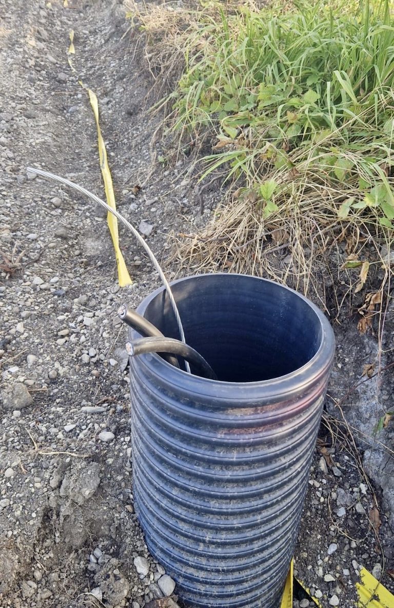 e1503256-79d7-49f1-b4b5-9cb9c0dc8af0