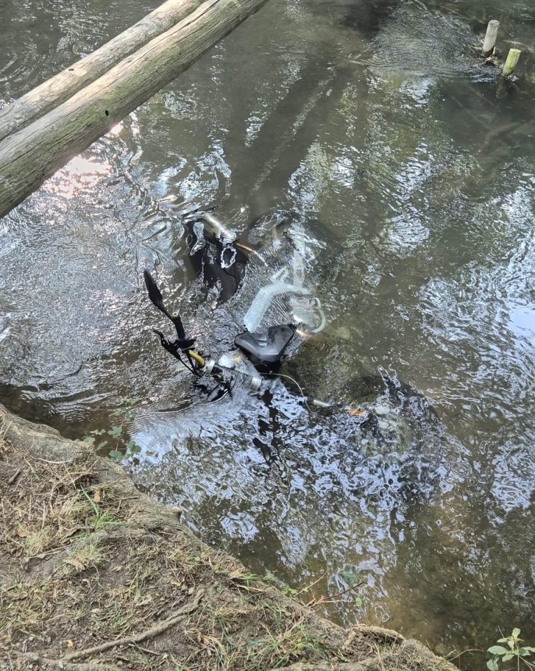 ebb2b814-65fb-4967-828a-8b69f1658d50