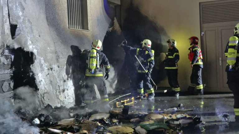 20250605_Brand im Freien beim ARKADIA Traiskirchen NÖ Bezirk BA