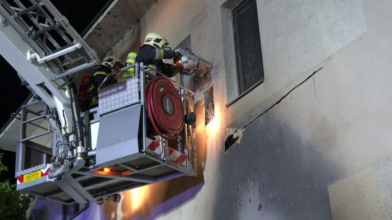 20250605_Brand im Freien beim ARKADIA Traiskirchen NÖ Bezirk BA