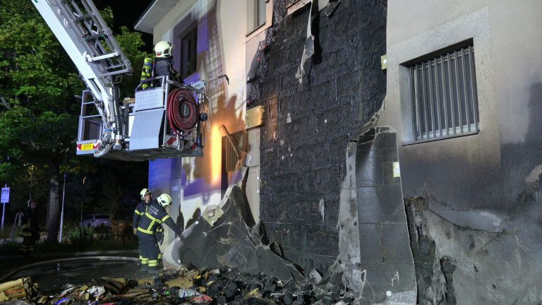 20250605_Brand im Freien beim ARKADIA Traiskirchen NÖ Bezirk BA