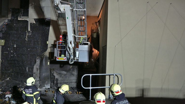 20250605_Brand im Freien beim ARKADIA Traiskirchen NÖ Bezirk BA