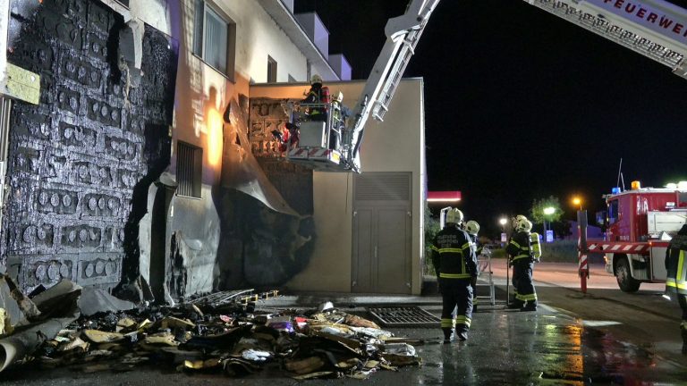 20250605_Brand im Freien beim ARKADIA Traiskirchen NÖ Bezirk BA