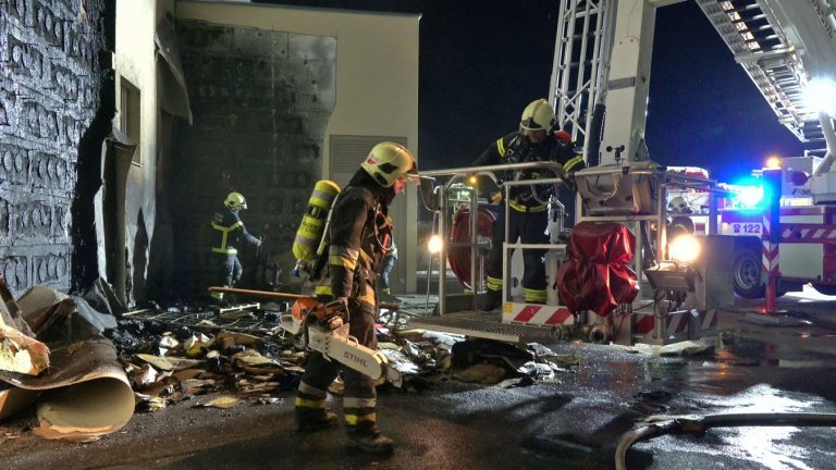 20250605_Brand im Freien beim ARKADIA Traiskirchen NÖ Bezirk BA