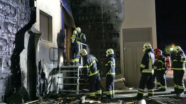 20250605_Brand im Freien beim ARKADIA Traiskirchen NÖ Bezirk BA