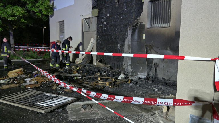 20250605_Brand im Freien beim ARKADIA Traiskirchen NÖ Bezirk BA
