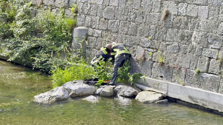 20250610_Tierrettung Schwechatfluss in Baden NÖ