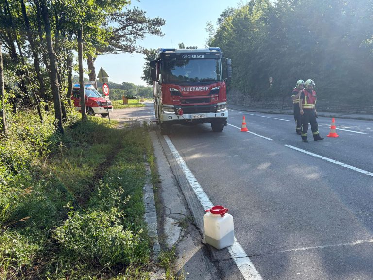 20250719_Verkehrsunfall mit Personensuche auf der LB11 in Groisb