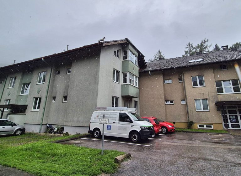 20250726_Feuerwehr rettet Hund vom Dach einer Wohnhausanlage in