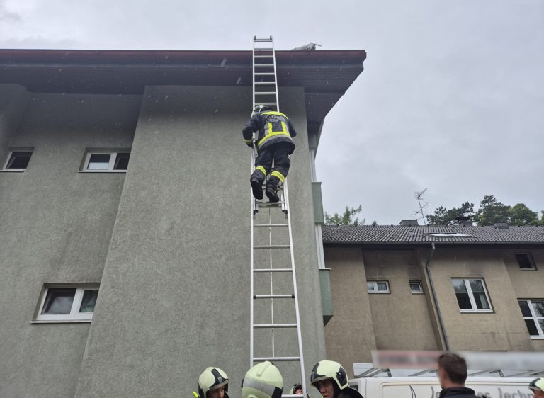 20250726_Feuerwehr rettet Hund vom Dach einer Wohnhausanlage in