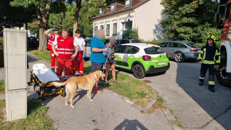 20250816_B2 Wohnungsbrand in Baden NÖ