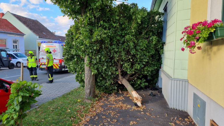 20250822_Verkehrsunfall in Pfaffstätten Badener Strasse Bezirk
