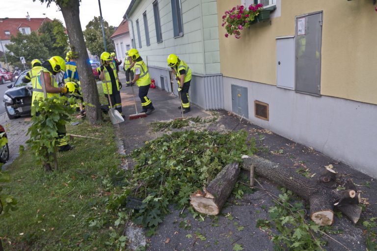 20250822_Verkehrsunfall in Pfaffstätten Badener Strasse Bezirk