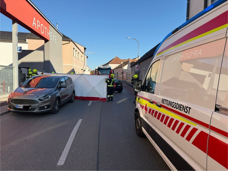 6f5983bd-9825-44dd-8e1c-53a2d3978d90