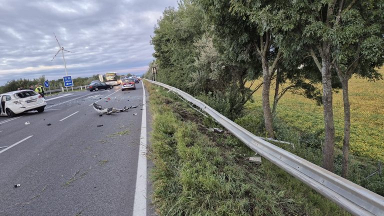 1dd30eec-d776-4a4f-9780-0d7c9c57cd91